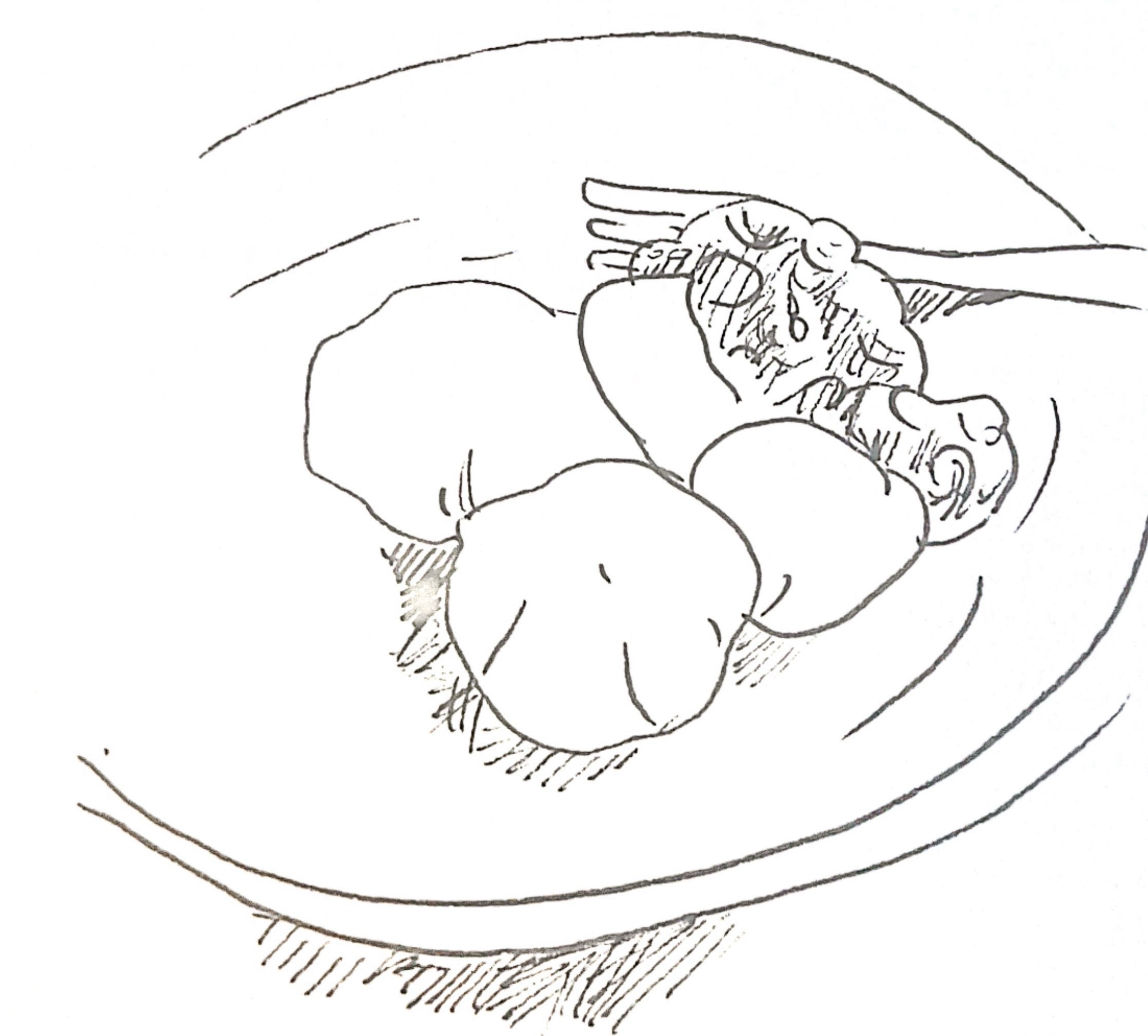 上新粉でおだんご